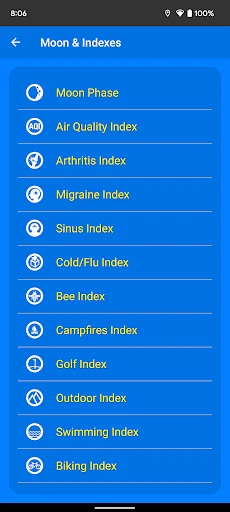 What The Forecast screenshot