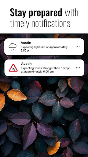 Transparent clock and weather screenshot